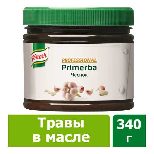 Приправа в растительном масле Knorr Primerba чеснок 340 г в Светофор