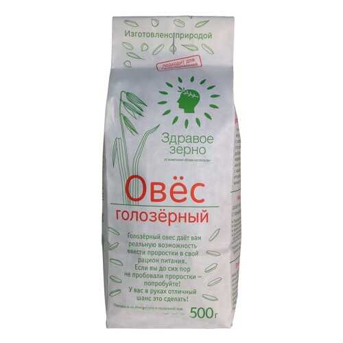 Овёс голозерный Здравое зерно в Светофор