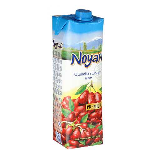 Кизиловый нектар Noyan premium 1л в Светофор